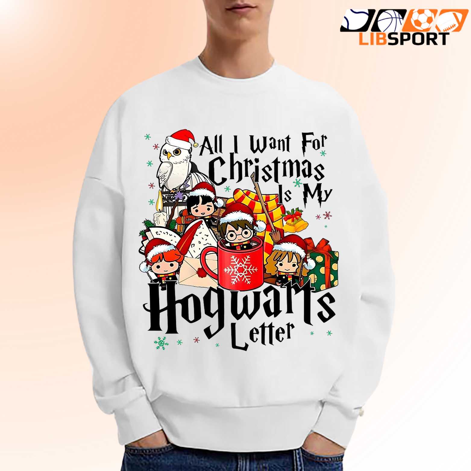 Harry Potter Christmas T Shirt, Holiday Wizard Shirt, Festive Magic Unisex Tee